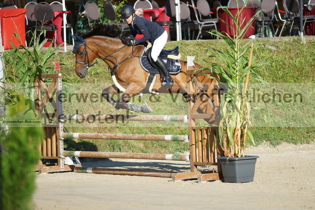 DSC02159 | equestrian-live-com
