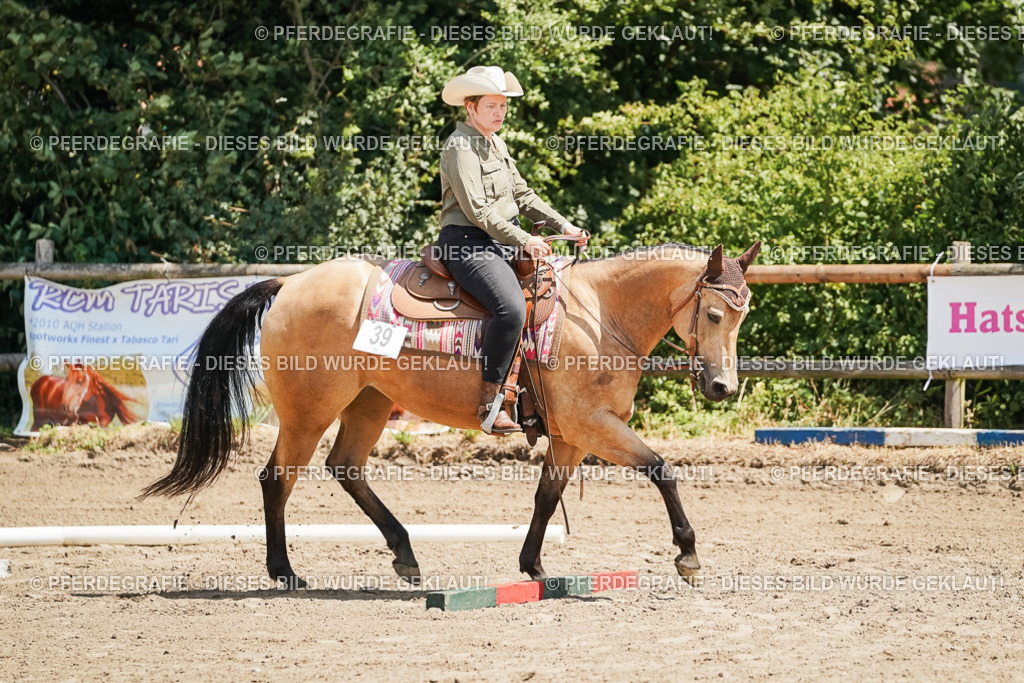 DSC06681 | Pferdegrafie