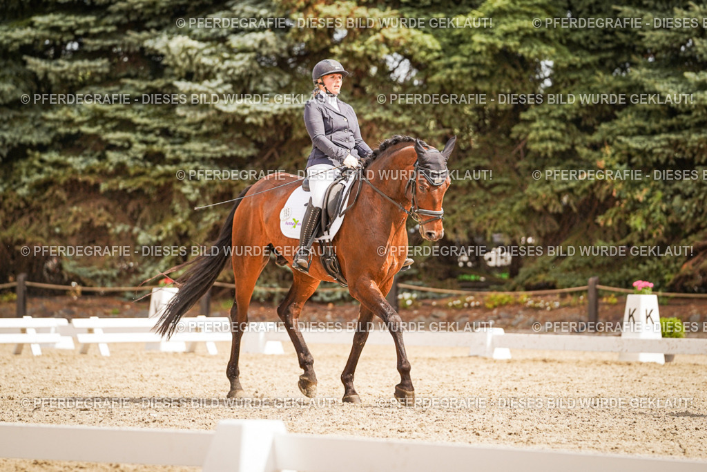 DSC01659 | Pferdegrafie