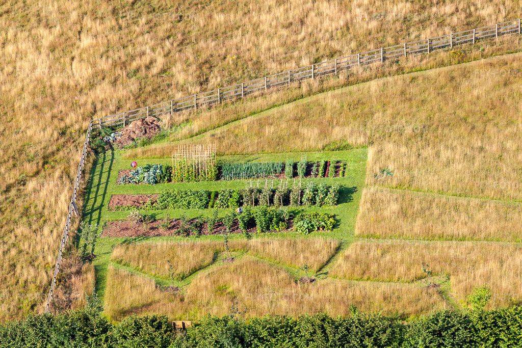 Aerial view: Vegetable farming in Two Mile Oak in the district Two Mile Oak Cross in Newton in the state England, Great Britain. – Photo: IMG_19727.jpg taken on 07/25/2009 by Werner Riehm/FLY-FOTO.com – Resolution of the original: 3963 x 2642 px