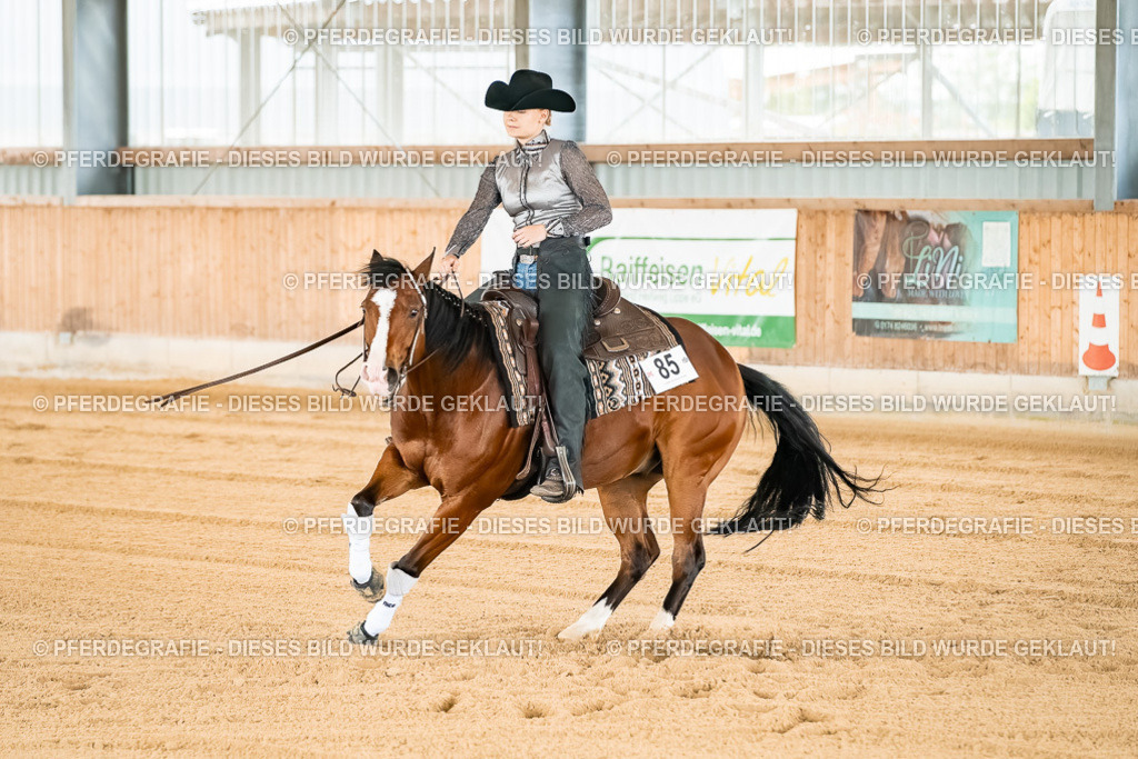 DSC02756 | Pferdegrafie