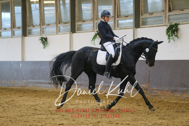 IMG_7591 | Turniersportfotografie; Pferdefotografie; Dressurfotografie