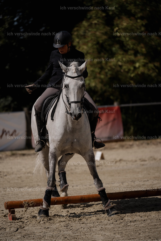 WS_SP_43_Stoibphotography_SO10699 | working equitationturnier fotograf videograf stoibphotography marixx film working equitation deutschland reitsport turnierfotografie eventfotografie equestrian events