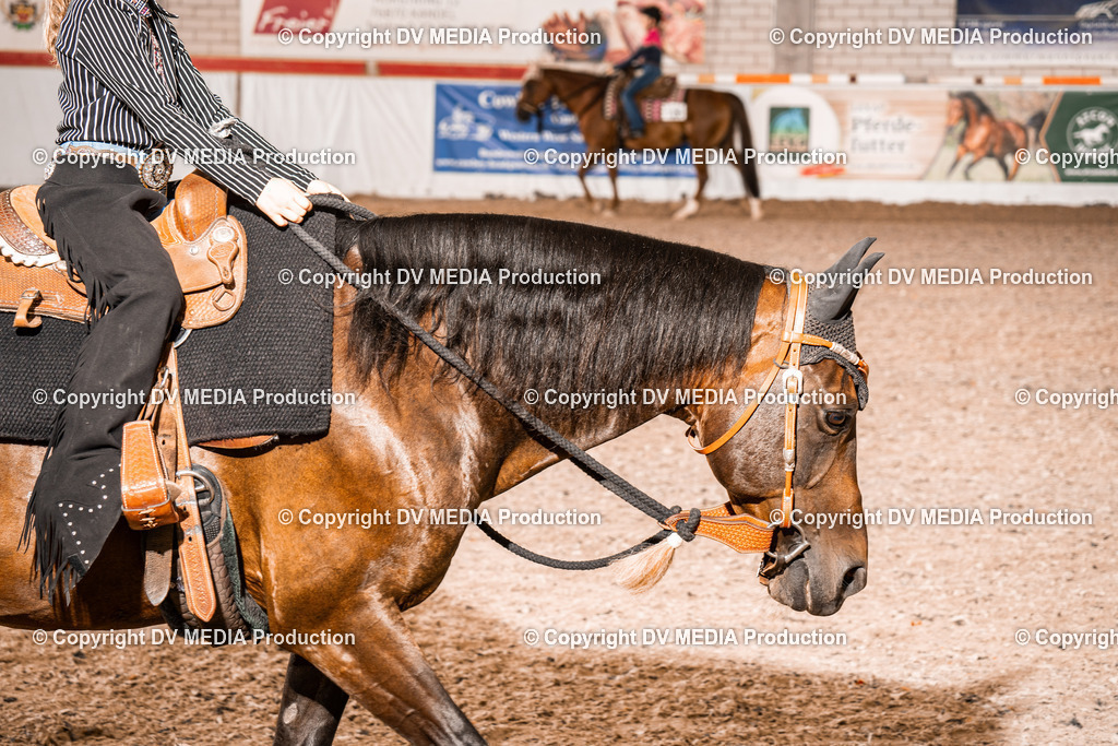 ZH200562 | dv-media-shop - Realisiert mit Pictrs.com