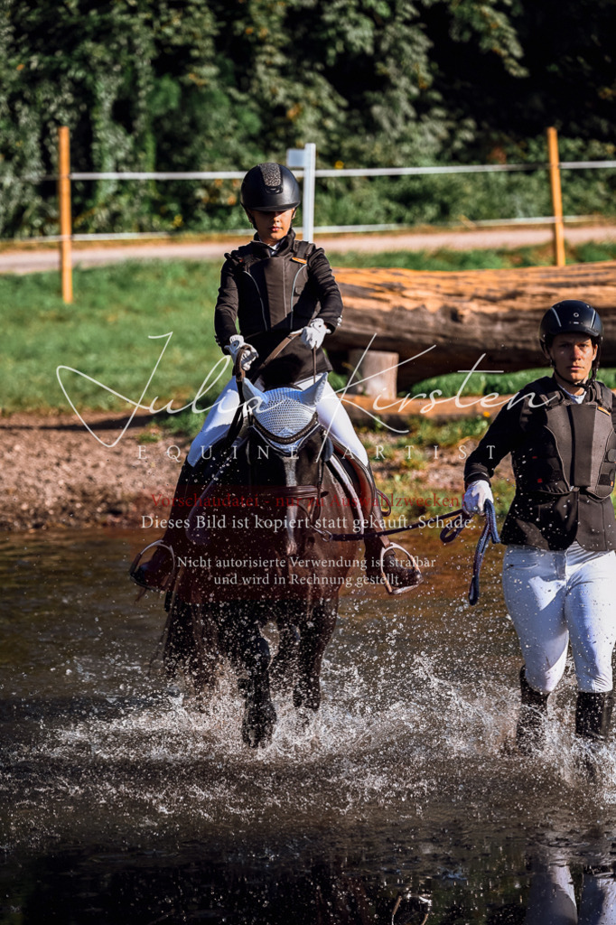 DSC_0389 | Pferde- und Turnierfotografie in Westsachsen. Pferdeportraits, Auftragszeichnungen und intuitive Kunst.