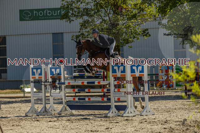 26-7-24 SPF M+-199 | mandyhollmannphotographie