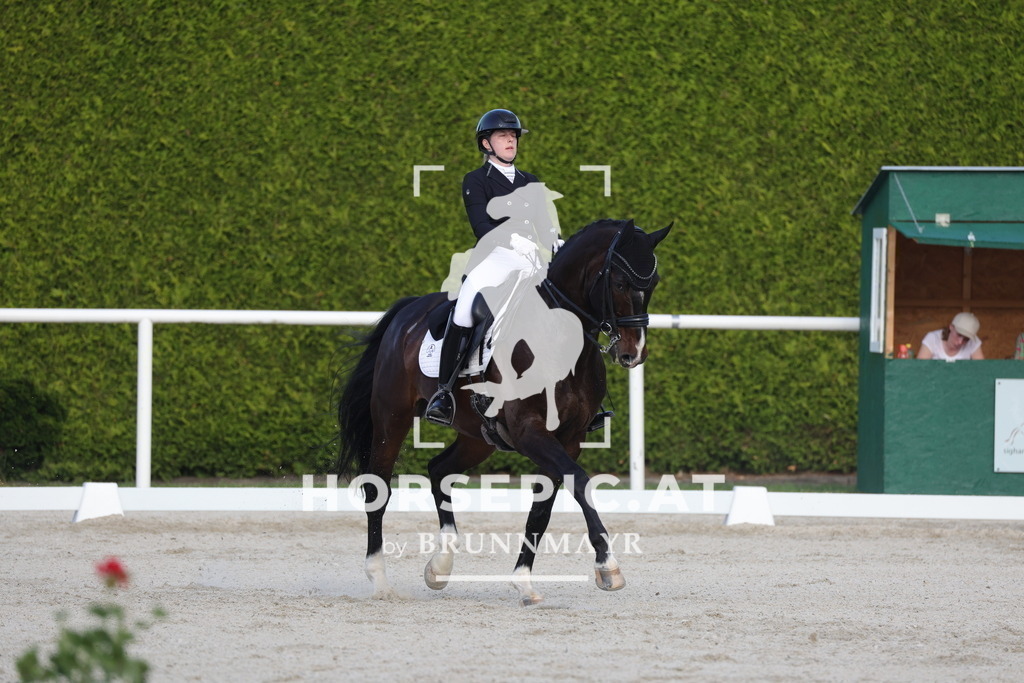 0P6A3756 | Willkommen bei Brunnmayr - Design & Fotografie – Ihrem Spezialisten für Reitturniere und Pferdeveranstaltungen in Oberösterreich, Salzburg und Bayern! Seit über 17 Jahren sind wir leidenschaftlich dabei.