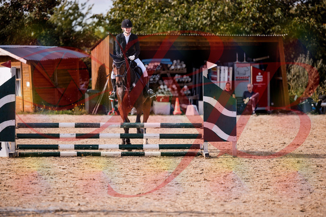 2026_10_03_Siefer-Hof_154136_Z81_58269892 | Professionelle Reitsport-, Turnier- und Eventfotografie von Robert Broda. Galerien mit ausgewählten und bearbeiteten Bildern direkt online ansehen und bestellen.