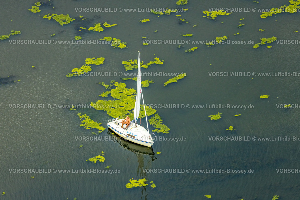 Bochum240711198KemnaderSee | Luftbild, Kemnader Stausee mit Elodea, Wasserpest, Algenblüte, Segelboote und Stand-Up Paddeler, Bochum, Nordrhein-Westfalen, Deutschland