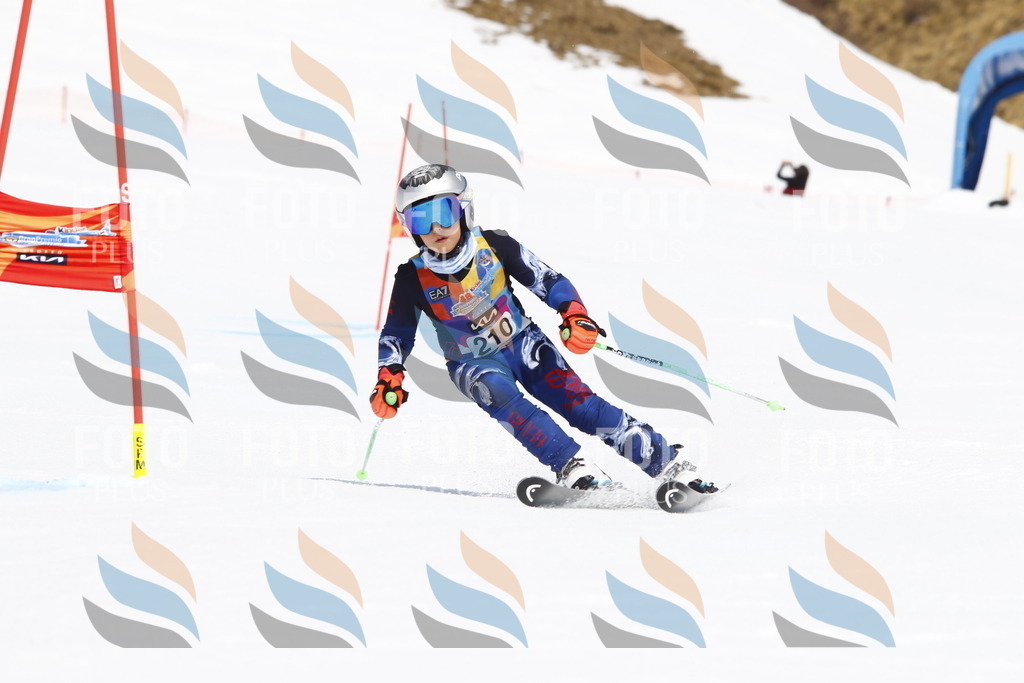 _U3G5420 | holidayphoto