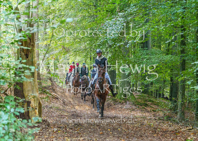 Jagd Perdoel_MarinaHewigMCH04708 | Fotografie, FotoArt, PferdesportArt, Pferdesportfotografie, Landschaftsfotografie, Reisefotografie, Reise, Pferde - Realisiert mit Pictrs.com