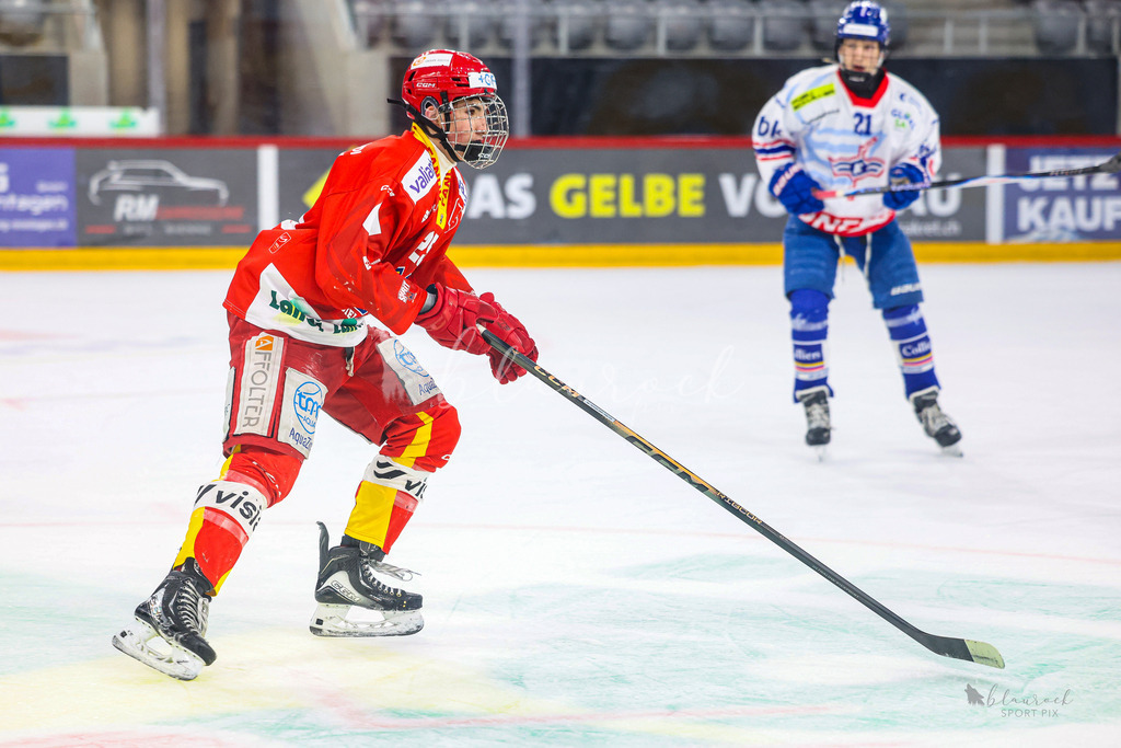 U18_EHCB vs EHCK_wb20260308-0923 | Sportbilder, Sportfotograf, Hochzeits- und Eventfotografin, Flugshows, Portraits und Tiershooting, Aviation, Downhill, Nationalleague, Swissleague, International