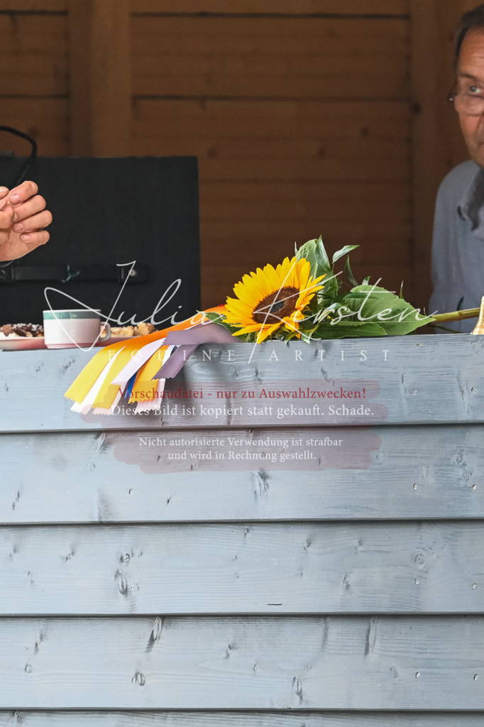 DSC_2627 | Pferde- und Turnierfotografie in Westsachsen. Pferdeportraits, Auftragszeichnungen und intuitive Kunst.