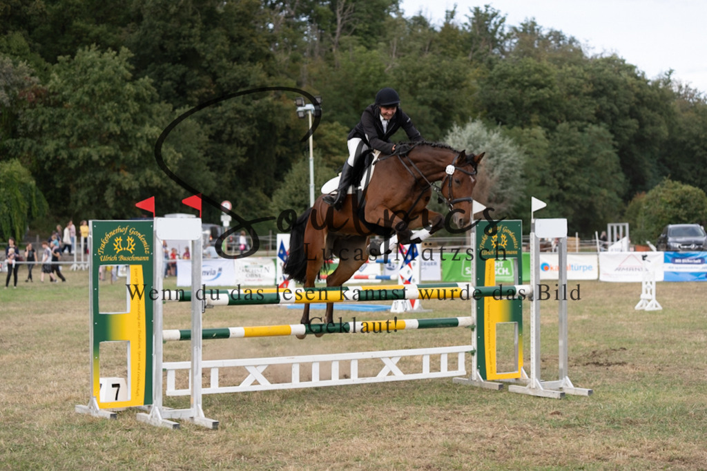 A7V09681 | Pferdefotograf