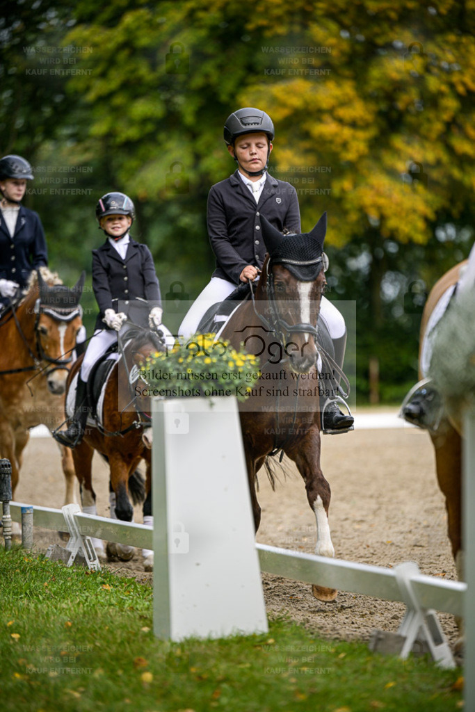 FOTO OGER | Entdecke hochwertige Reitturnierfotos von Foto Oger. Professionell, emotional und authentisch – jetzt Lieblingsmomente im Shop bestellen. - Realisiert mit Pictrs.com