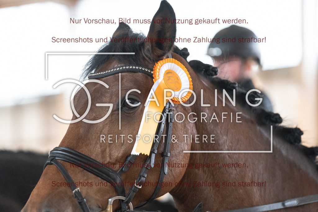 DSC00634 | Reitturnier_Göppingen_April_2026, Meike_Höfle, Fajana_14