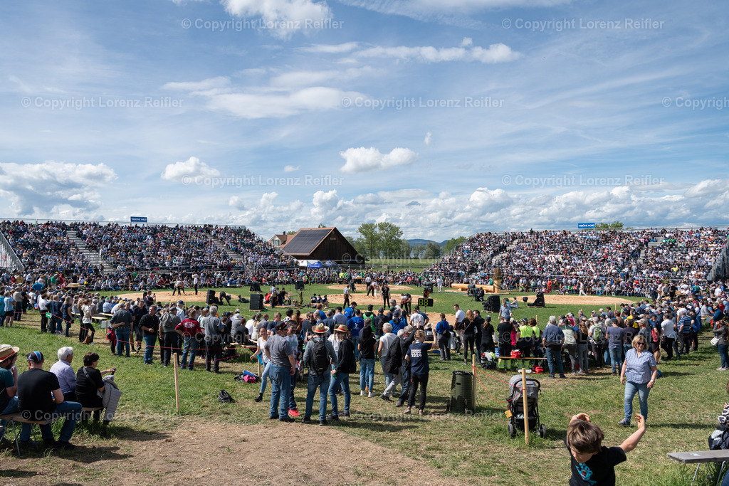 Schwingen -  Thurgauer Kantonales 2024 | Ermatingen, 5.5.24, Schwingen - Thurgauer Kantonales.