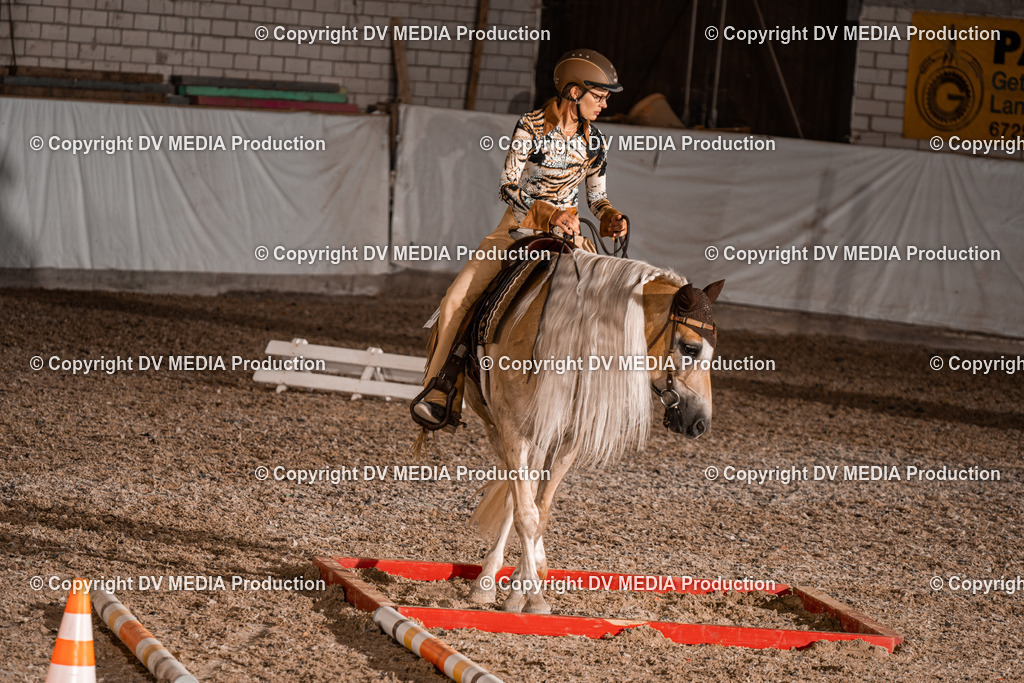 ZH200551 | dv-media-shop - Realisiert mit Pictrs.com