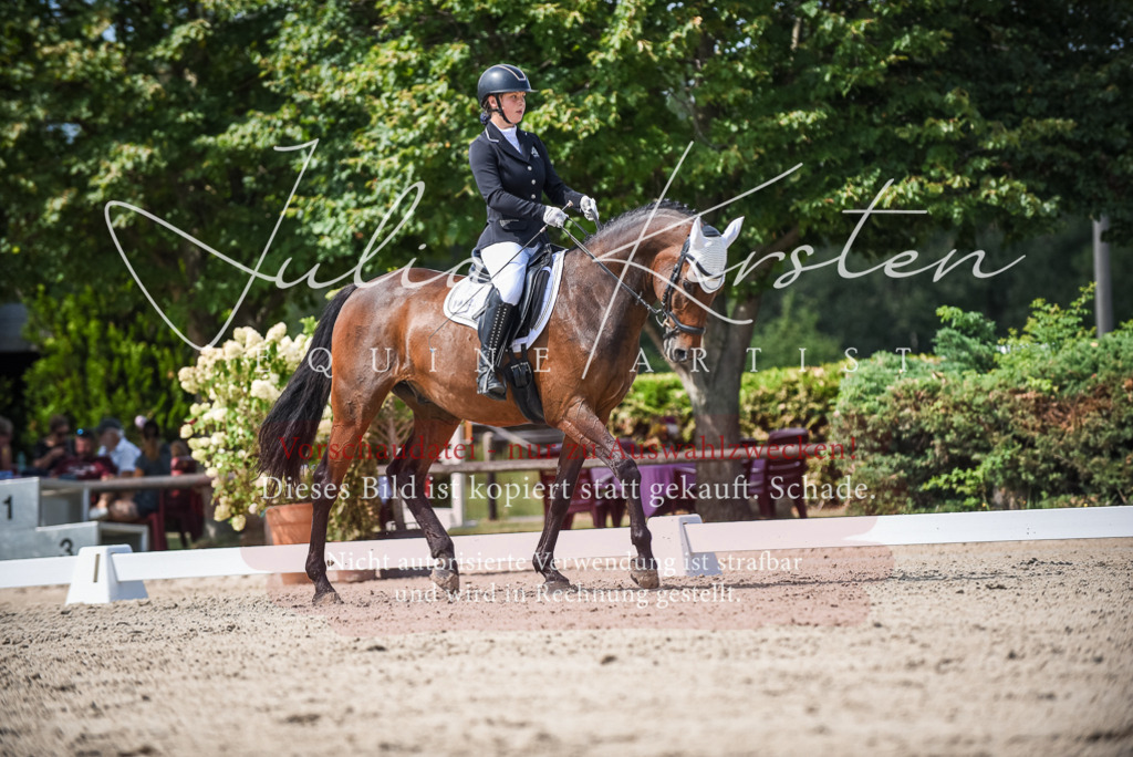 DSC_9290 | Pferde- und Turnierfotografie in Westsachsen. Pferdeportraits, Auftragszeichnungen und intuitive Kunst.
