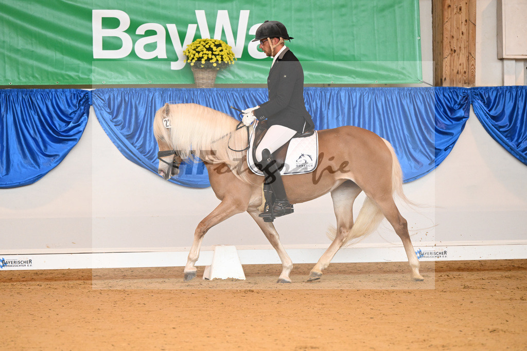 Kat-Nr. 223 Lizt van de Honesch_ZG Slot_54221644 | hf-fotografie - Realisiert mit Pictrs.com