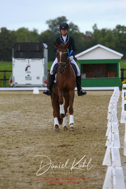 DKP43780 | Turniersportfotografie; Pferdefotografie; Dressurfotografie