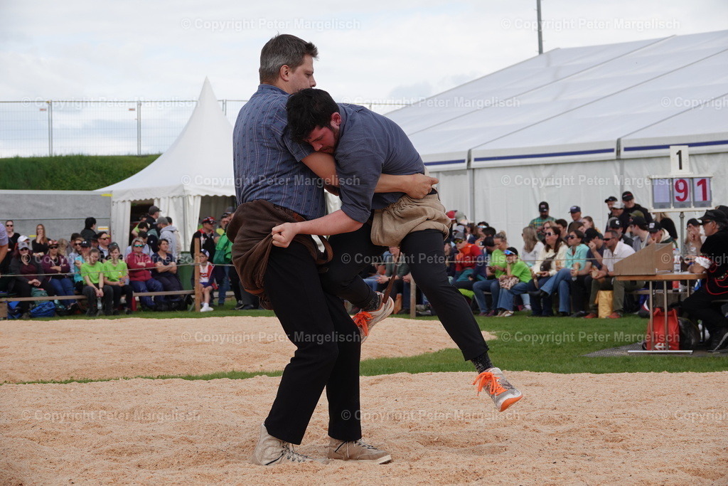 DSC00694 | Schwingen - Realisiert mit Pictrs.com