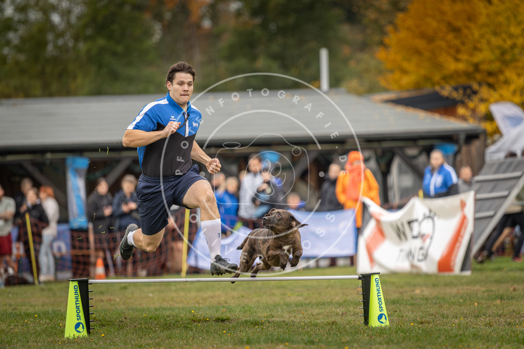 Pfotenfotografie_DV3A5111 | Hundefotografie, Tierfotograf, Pfotenfotografie, Fotoshooting Hund, Hunde Portrait, Hundesport, Hundeportraits, Heideshooting, Hunde, Sportfotograf, Hundefotograf, Turnierhundsport, THS,  - Realisiert mit Pictrs.com