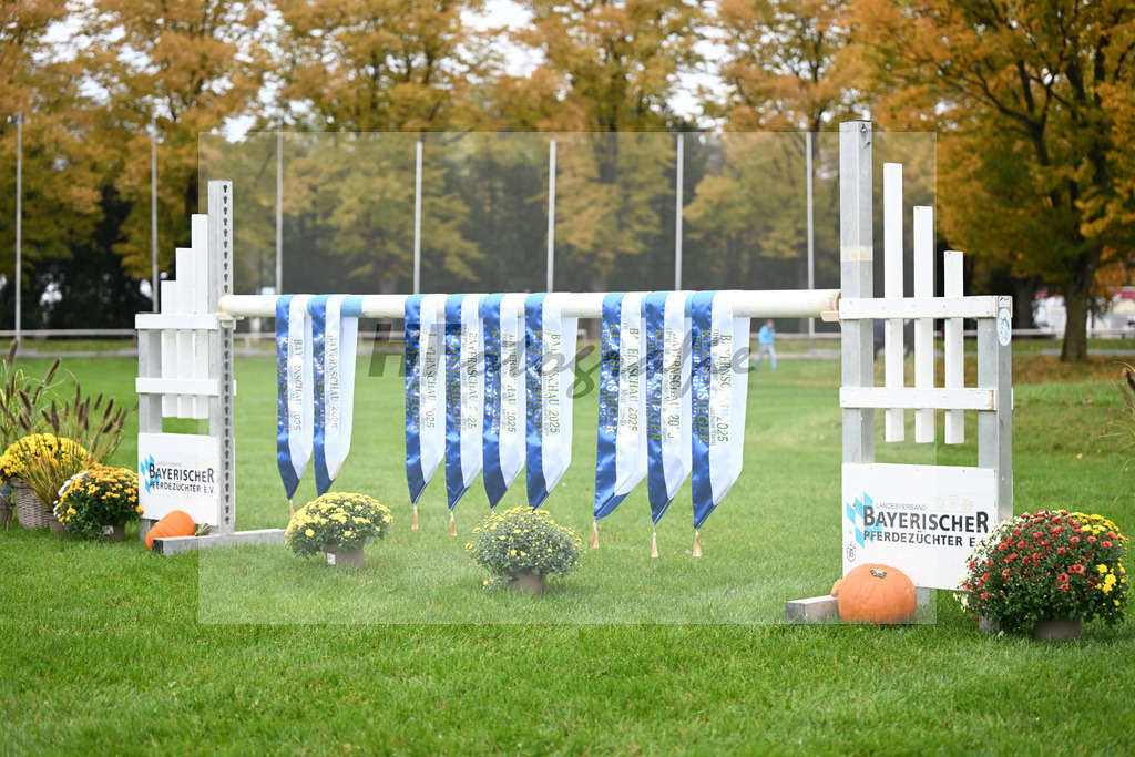 Impressionen_Schaerpen_41250119 | hf-fotografie - Realizzato con Pictrs.com