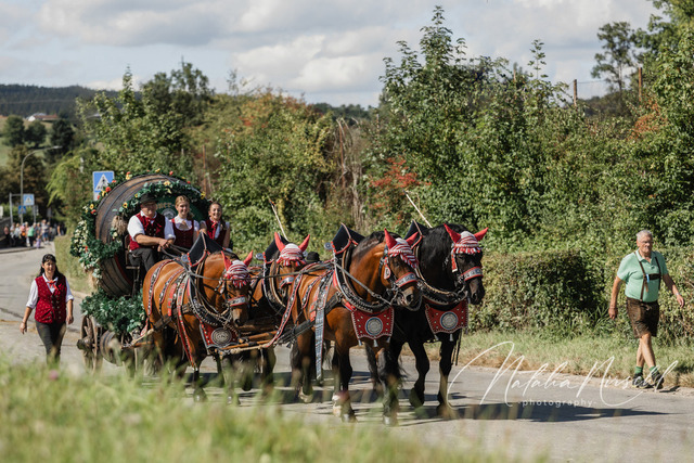 7V6A2987 | natalia-nirschl-photography