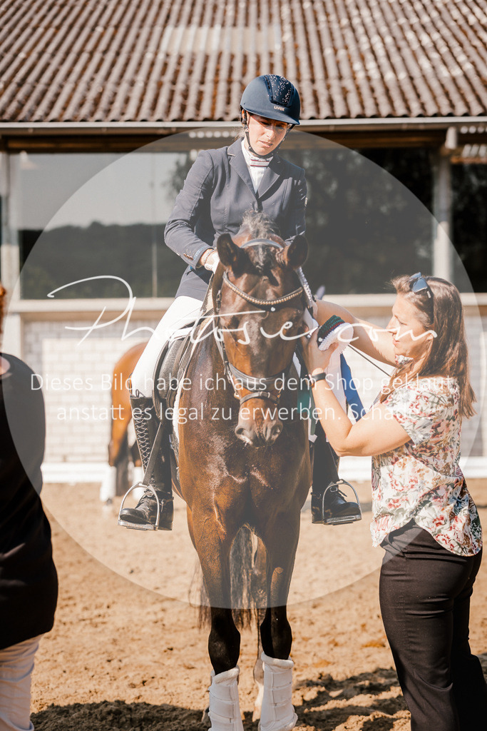 3I6A9178 | Stimmungsvolle Portraits und Reitsportfotografie im Ruhrgebiet und im Münsterland.

Pferdefotografie, Hundefotografie, Tierfotografie, Reportagen, Portraits von Tier und Mensch, Turnierfotografie in Bochum, Recklinghausen, Marl, Haltern am See, Dülmen.. - Realisiert mit Pictrs.com