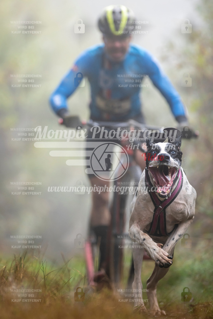 MompixPhotography_20TSB_E4_DS1-66 | PayLife