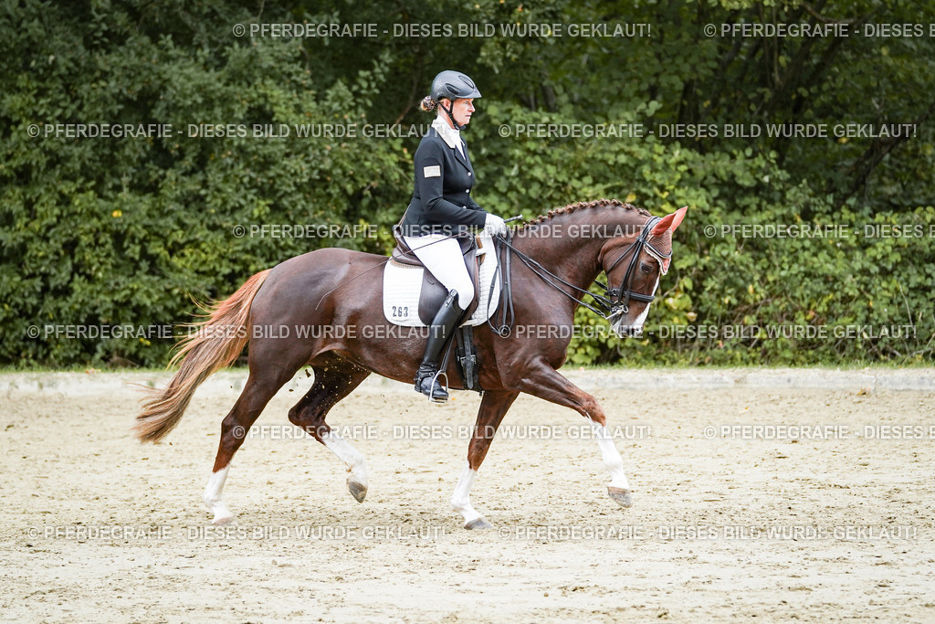 DSC06625 | Pferdegrafie