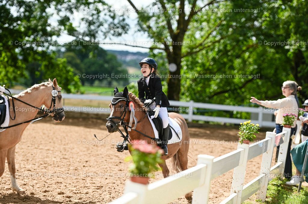 20230716_10-3_Reiter-WB Schritt - Trab - Galopp_0271 | equistock