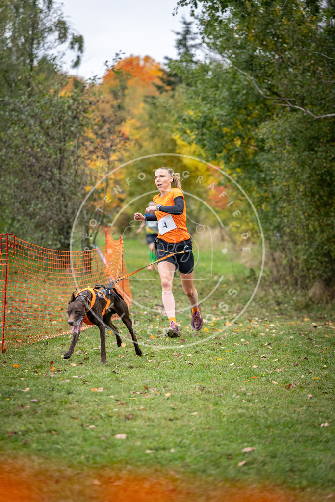 Pfotenfotografie_DV3A1684 | Hundefotografie, Tierfotograf, Pfotenfotografie, Fotoshooting Hund, Hunde Portrait, Hundesport, Hundeportraits, Heideshooting, Hunde, Sportfotograf, Hundefotograf, Turnierhundsport, THS,  - Realisiert mit Pictrs.com
