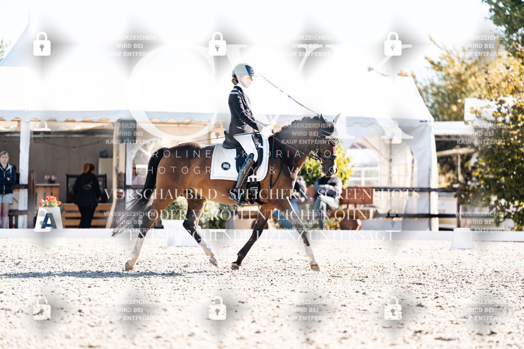 CK908540 | Turnierfotografie Pferdefotografie Trier Rheinland-Pfalz Pferdesport Reitsport Tierfotografie Sportfotografie Pferdevideo Pferdevideografie Equestrianvideography equestrianphotography  - Realisiert mit Pictrs.com