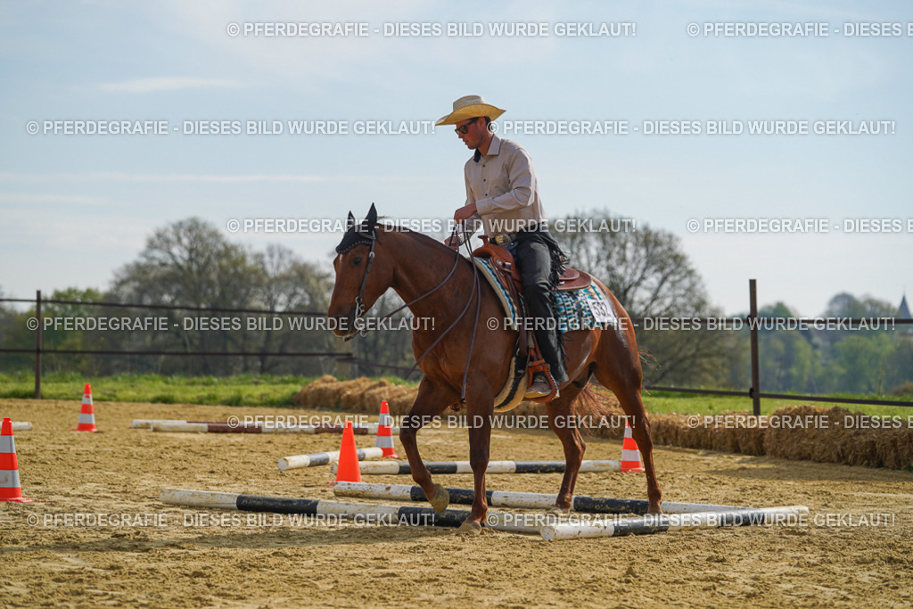 DSC01536 | Pferdegrafie