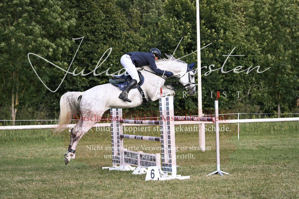 DSC_1723 | Pferde- und Turnierfotografie in Westsachsen. Pferdeportraits, Auftragszeichnungen und intuitive Kunst.