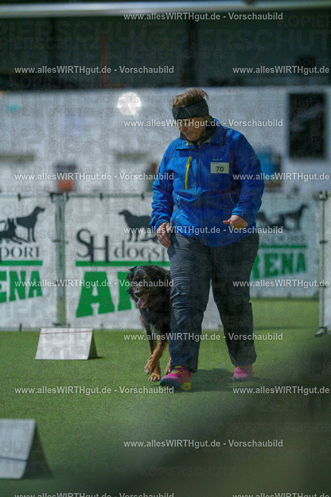 7R503964 | Professionelle Tierfotografie in Mönchengladbach von Daniel Wirth (allesWIRTHgut). Liebevolle & natürliche Bilder von Hunden & Katzen für unvergessliche Erinnerungen.
