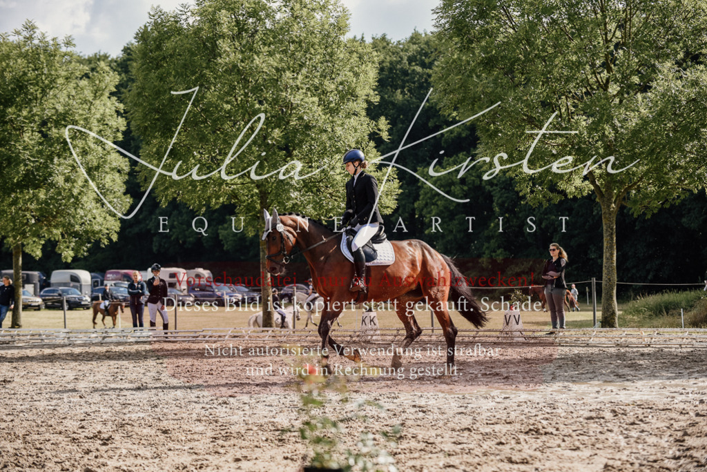 DSC_9049 | Pferde- und Turnierfotografie in Westsachsen. Pferdeportraits, Auftragszeichnungen und intuitive Kunst.