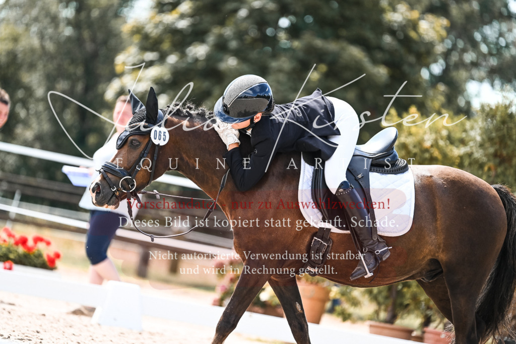 DSC_5742 | Pferde- und Turnierfotografie in Westsachsen. Pferdeportraits, Auftragszeichnungen und intuitive Kunst.