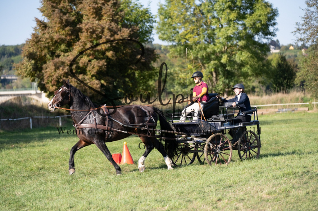 A7V04555 | Pferdefotograf