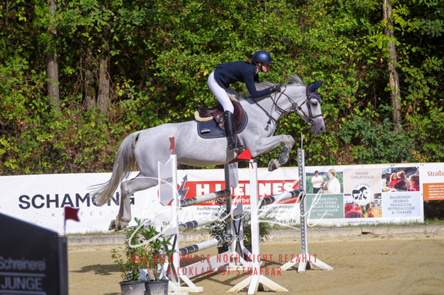 DKP42356 | Deine Turnierfotos vom Reitturnier online kaufen: Dressur, Springen & Siegerehrung. Professionelle Pferdefotografie aus dem Rheinland – als Download & Print.Alternative: Turnierfotograf für den Pferdesport: Finde deine Fotos von Dressur- und Springturnier