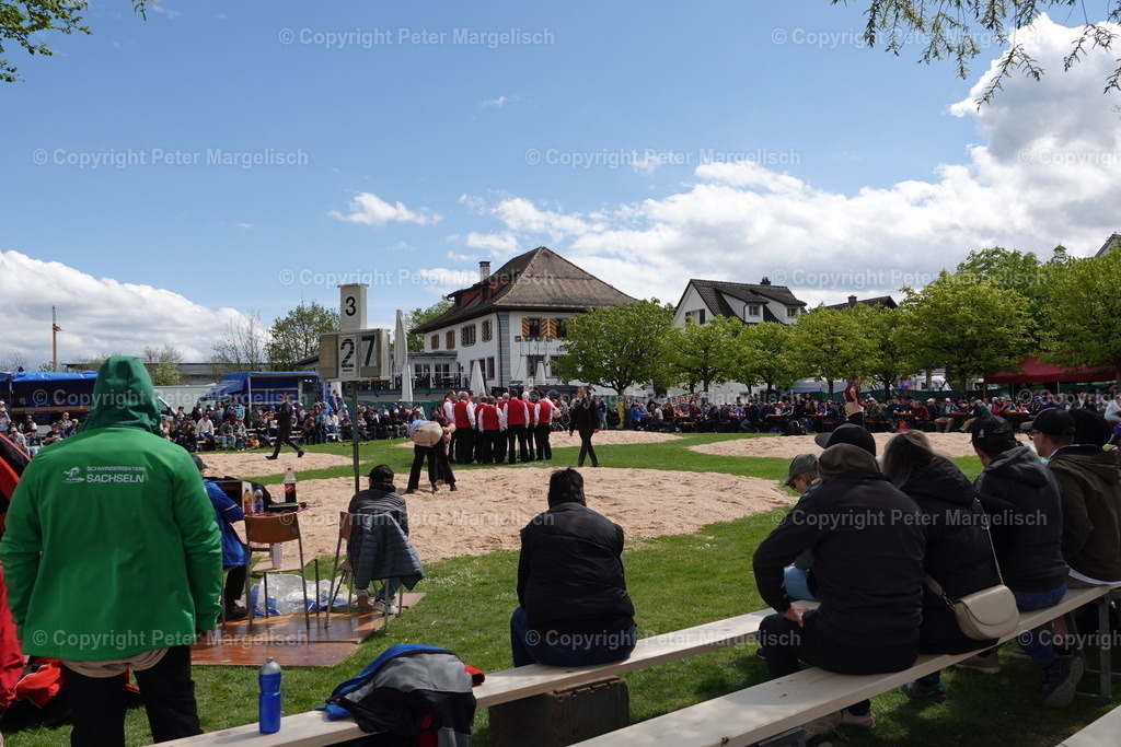 DSC00549 | Schwingen - Realisiert mit Pictrs.com