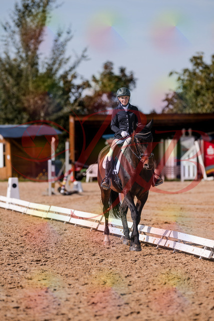 2026_10_03_Siefer-Hof_133811_Z81_94801621 | Professionelle Reitsport-, Turnier- und Eventfotografie von Robert Broda. Galerien mit ausgewählten und bearbeiteten Bildern direkt online ansehen und bestellen.