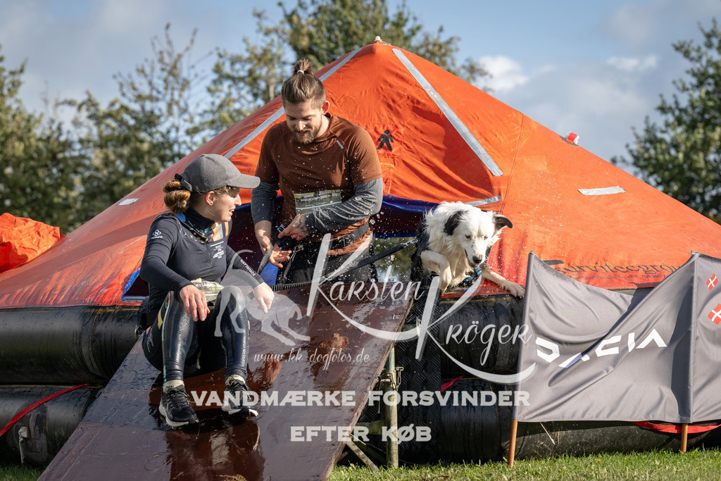 1430-94296 | kk-dogfotos