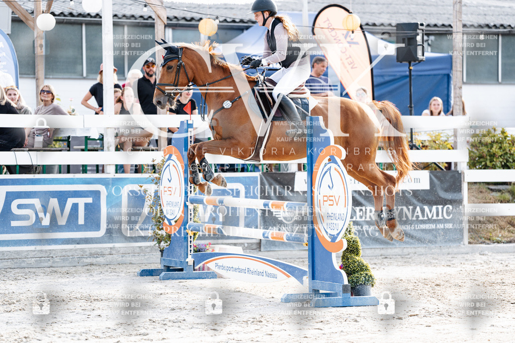 CK906345 | Turnierfotografie Pferdefotografie Trier Rheinland-Pfalz Pferdesport Reitsport Tierfotografie Sportfotografie Pferdevideo Pferdevideografie Equestrianvideography equestrianphotography  - Realisiert mit Pictrs.com