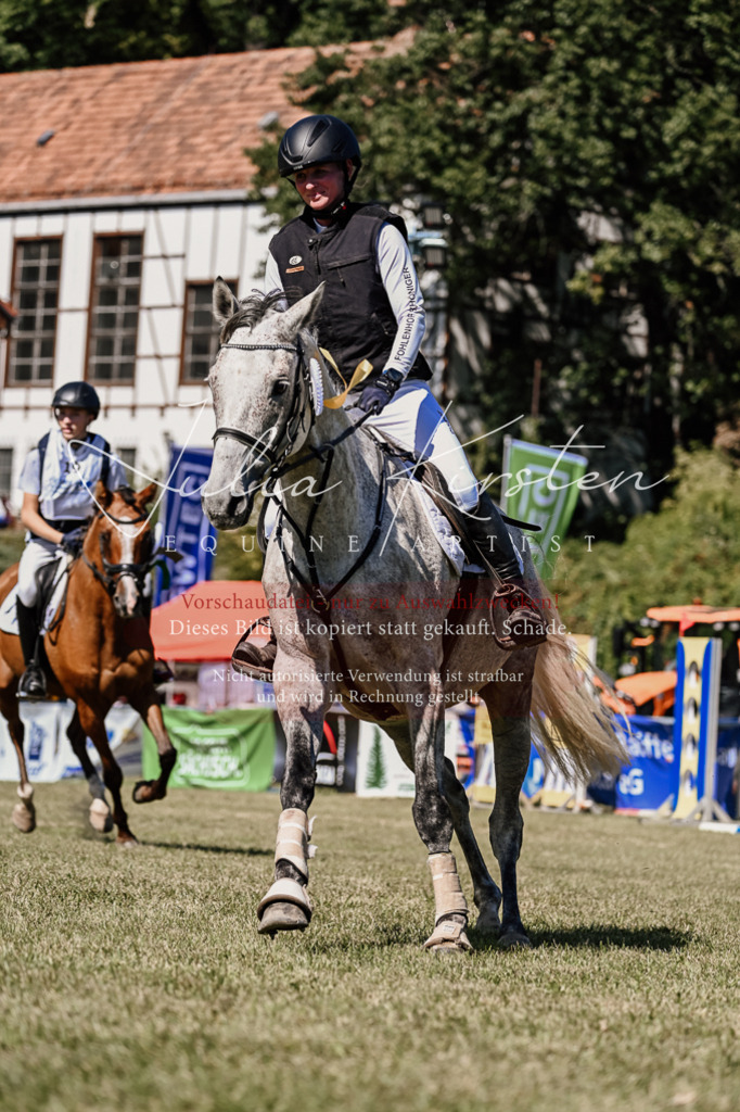 DSC_2581 | Pferde- und Turnierfotografie in Westsachsen. Pferdeportraits, Auftragszeichnungen und intuitive Kunst.