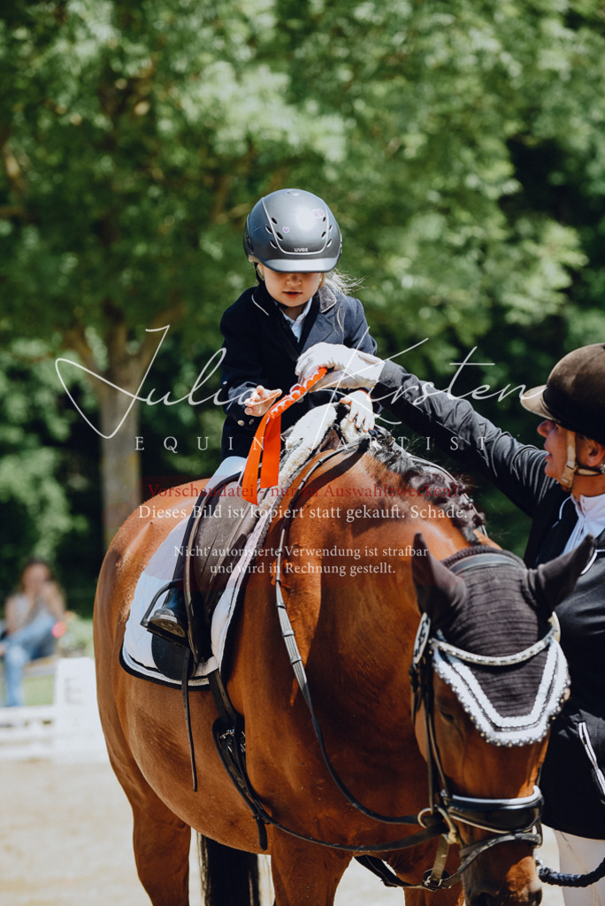 DSC_2658 | Pferde- und Turnierfotografie in Westsachsen. Pferdeportraits, Auftragszeichnungen und intuitive Kunst.
