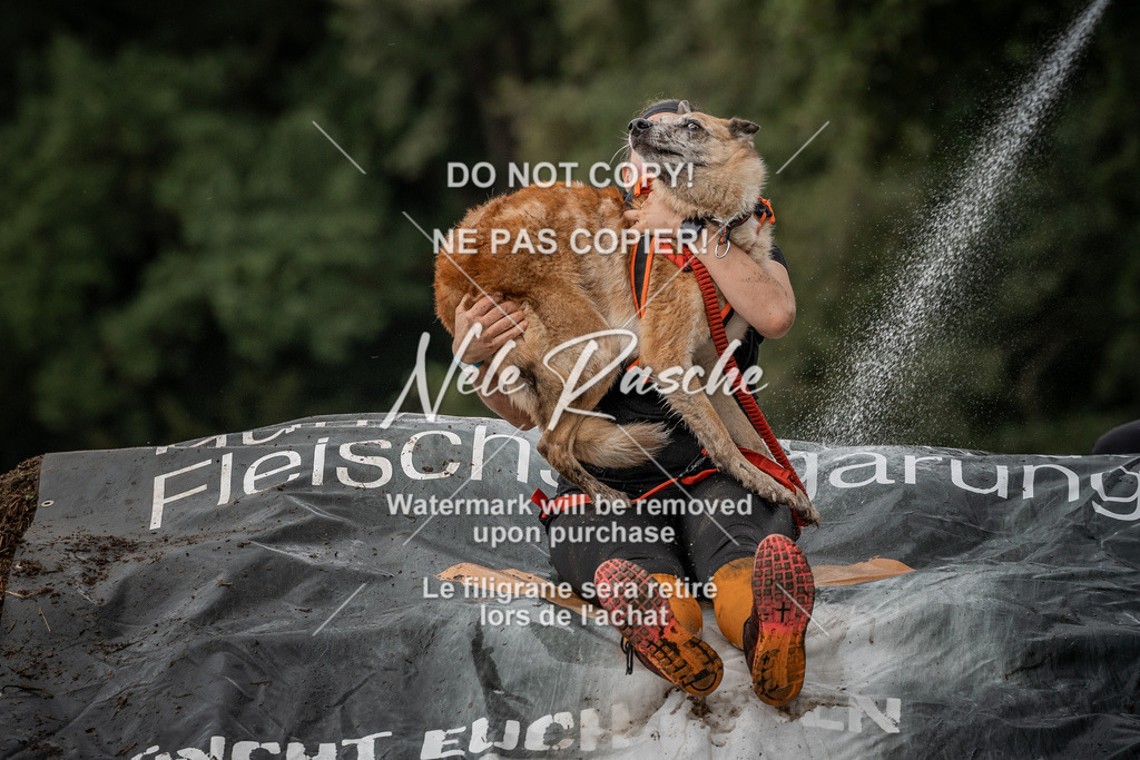 nelerasche_Wingst_Sa1300-1330_249 | nelerasche