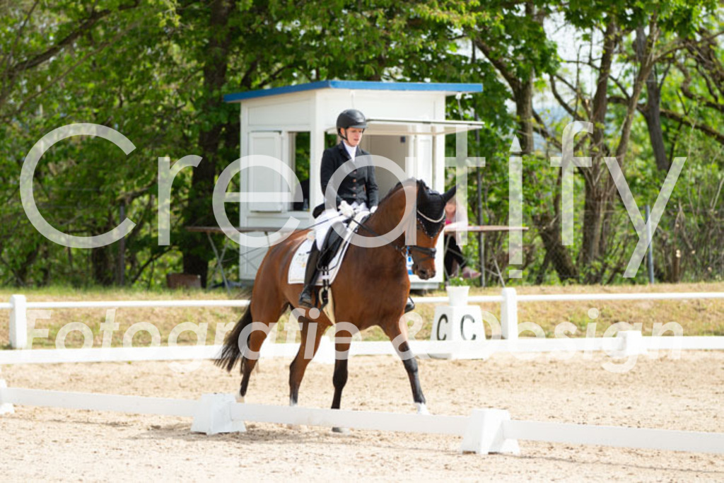 IMG_2473 | Creatify Fotografie